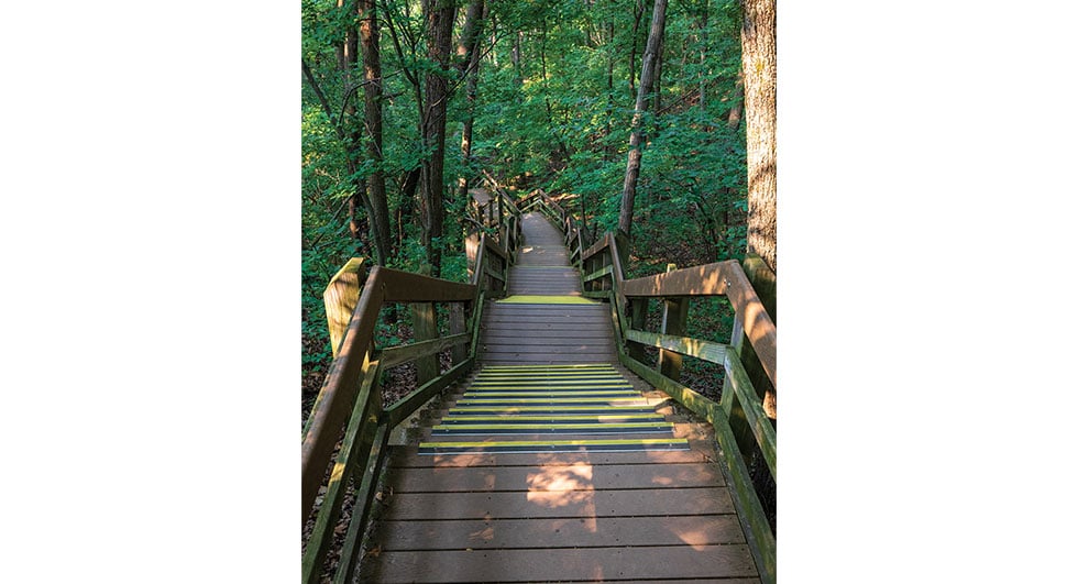 The Dune Succession Trail features 270 stairs. Photo by George Daniel/stock.adobe.com