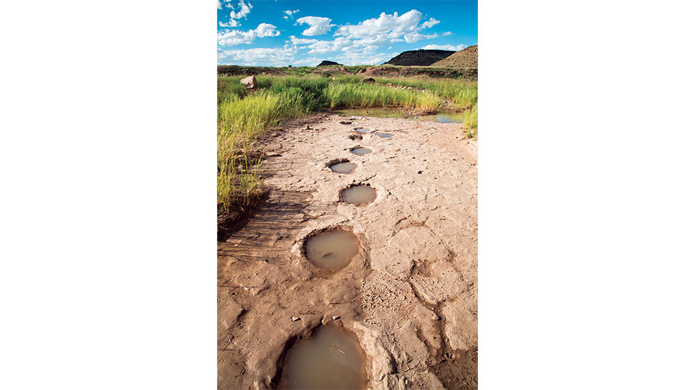 Ancient dinosaur footprints can be found at the Black Mesa State Park and Preserve. Photo by Kim Baker/Oklahoma Tourism