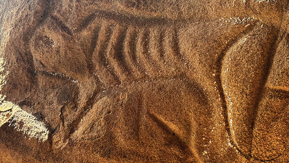 Carved into the sandstone at Black Mesa State Park and Preserve are petroglyphs made by ancient Native American people. Photo by Emily Brashier