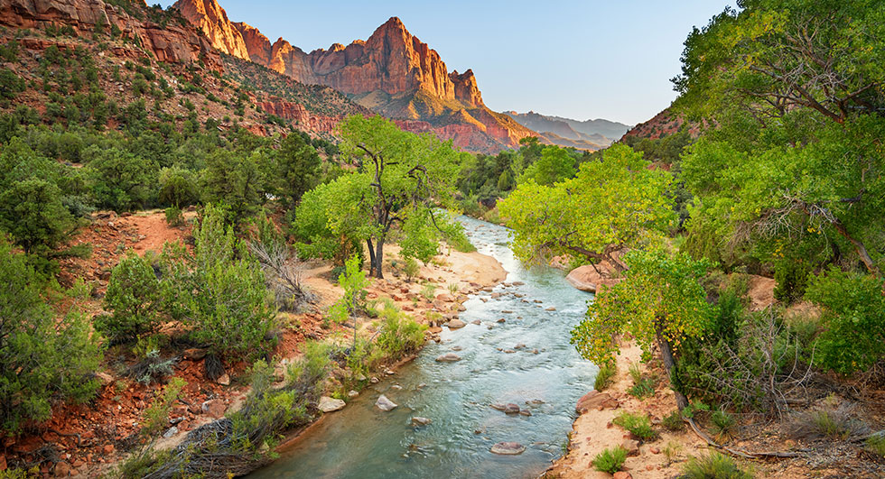 Watchman at Sunset in Zion National Park Utah. Photo by benedek/iStock.com