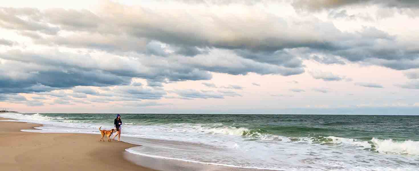 Delmarva