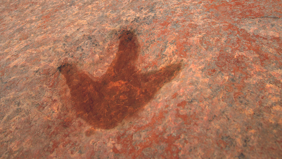 A 200-million-year-old Dilophosaurus track in Red Fleet State Park