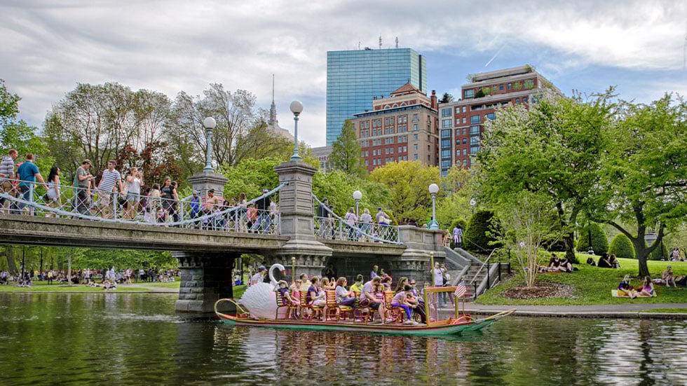 The swan boats at Boston Public Garden