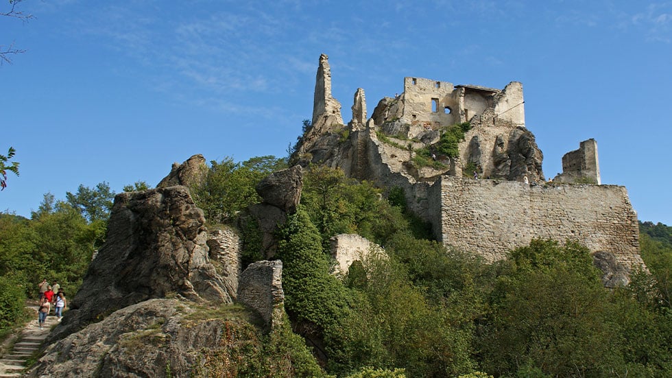Rüdesheim vineyard hike with  AmaWaterways
