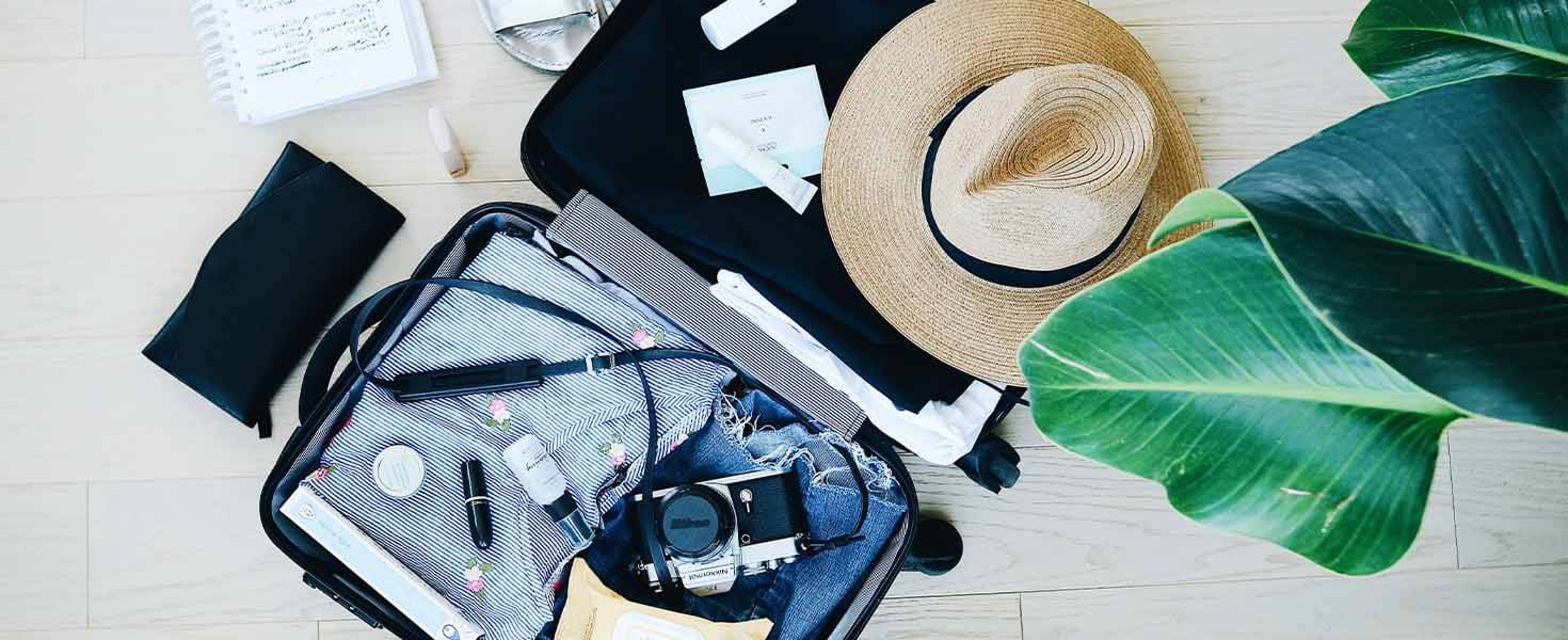 Travel Green
