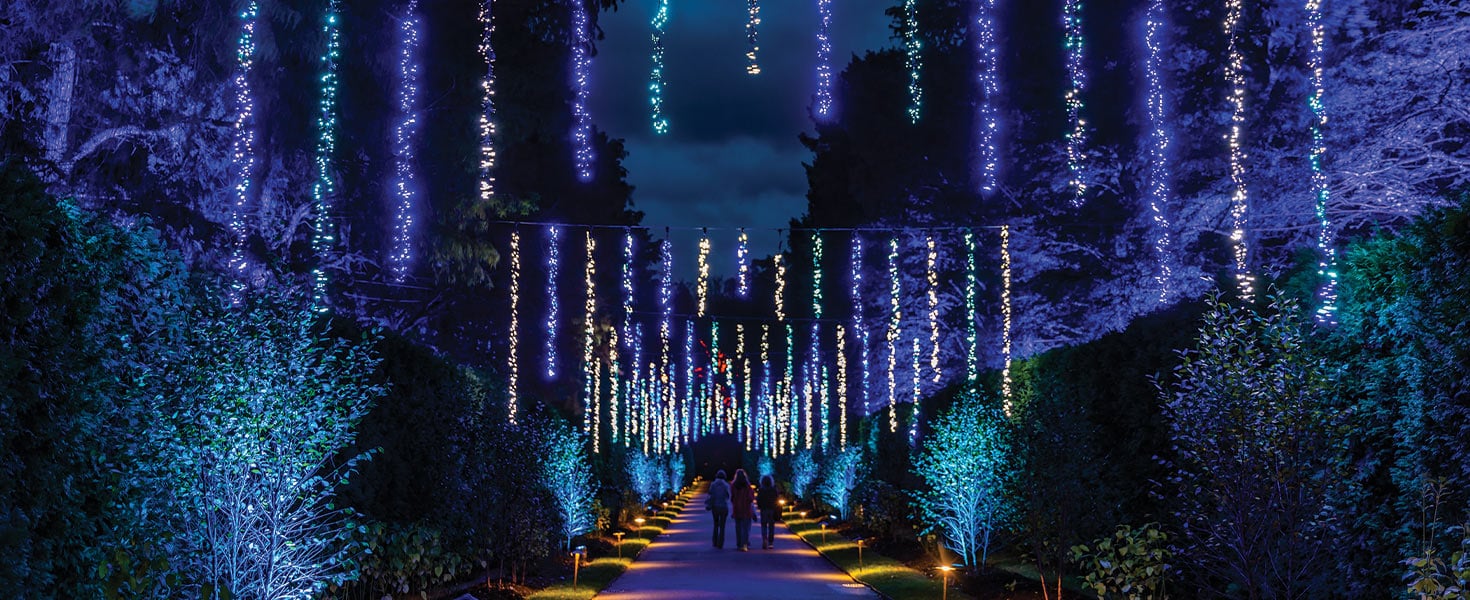 Lights hanging from trees at Longwood Gardens