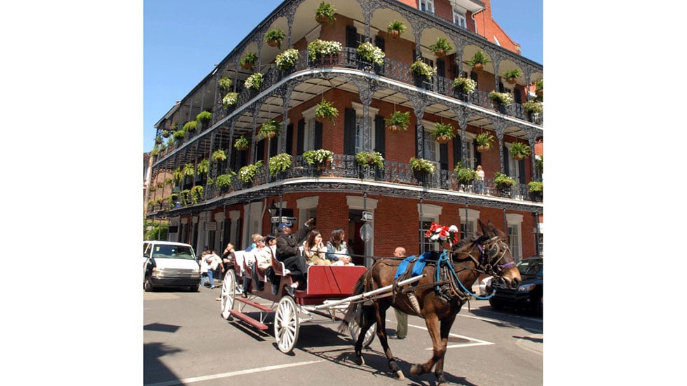 A carriage ride in the French Quarter