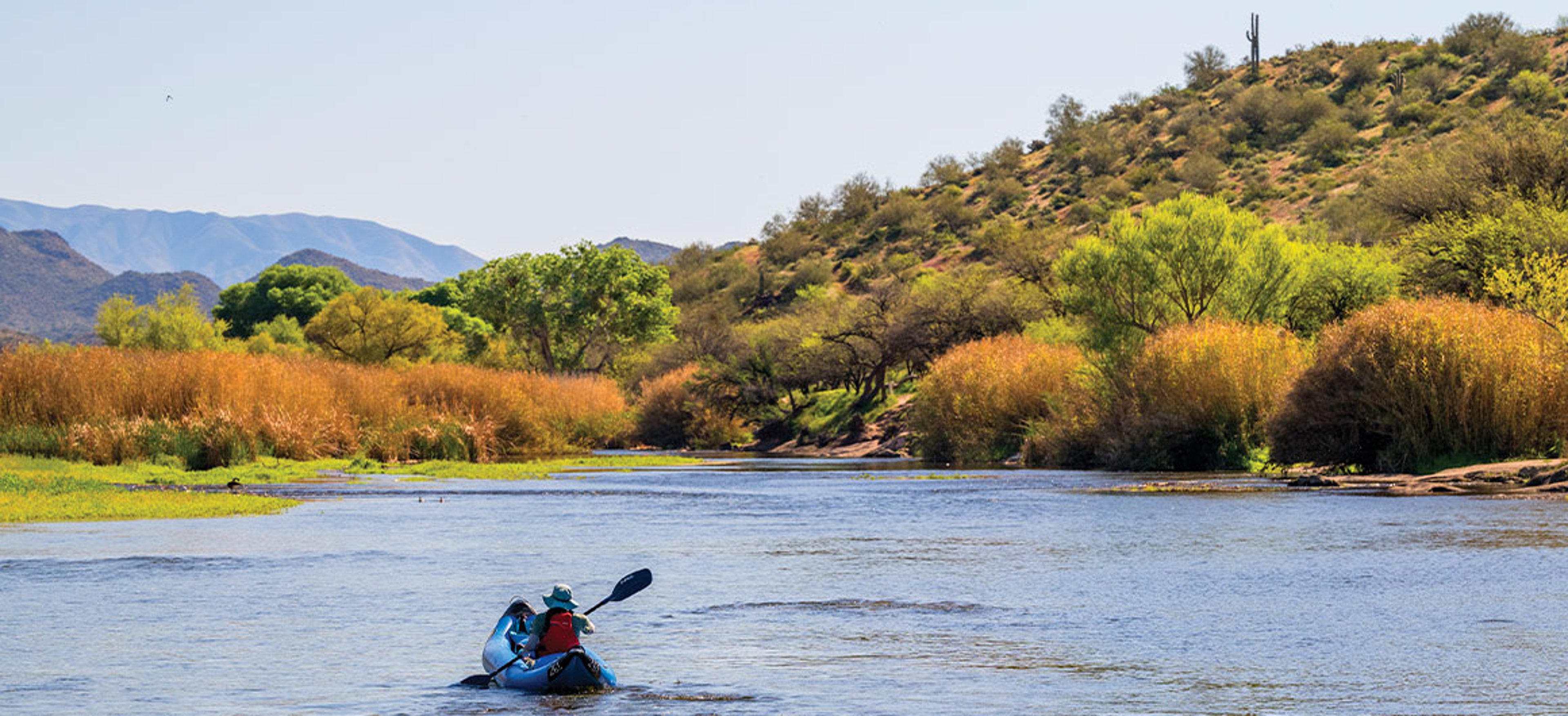Kayaking on the Salt River