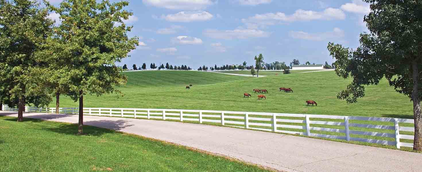 Kentucky Roads