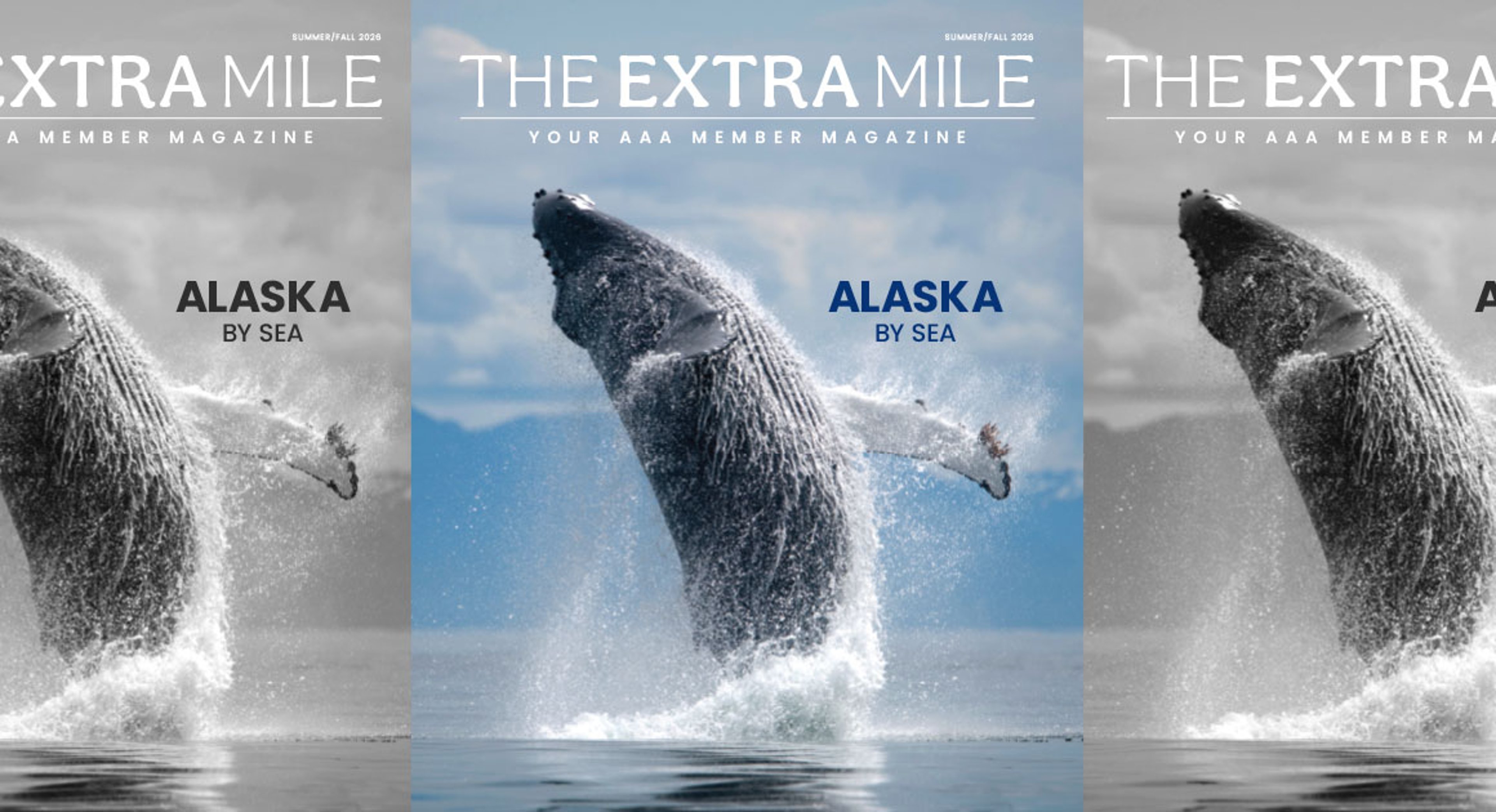 whale breaching out of water on cover of The Extra Mile Summer Fall 2026 magazine issue