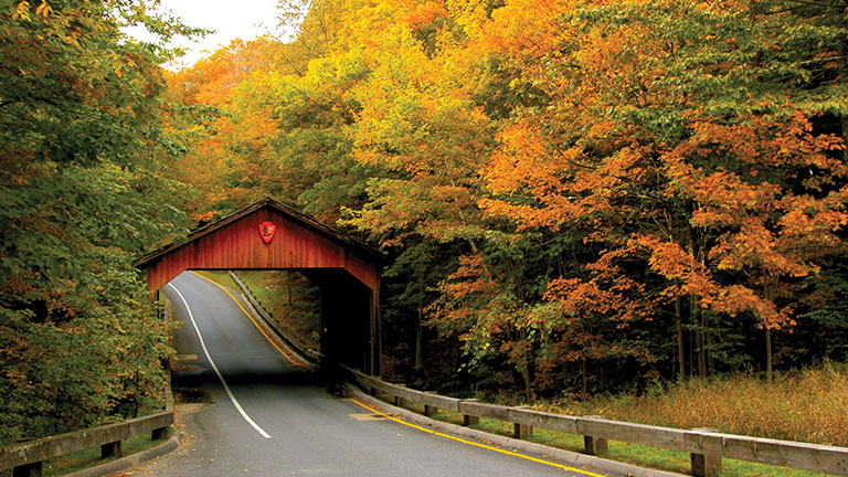 Leelanau Peninsula’s colorful autumn; photo courtesy of Traverse City Tourism