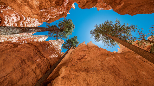 Bryce National Park