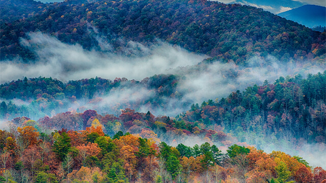 Great Smocky National Park