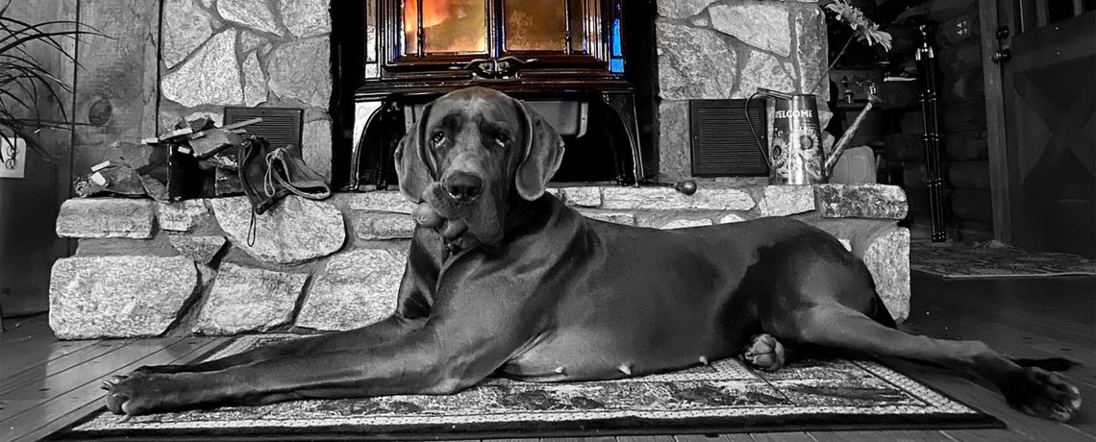 2021 Photo Contest Semi- Finalist Photo