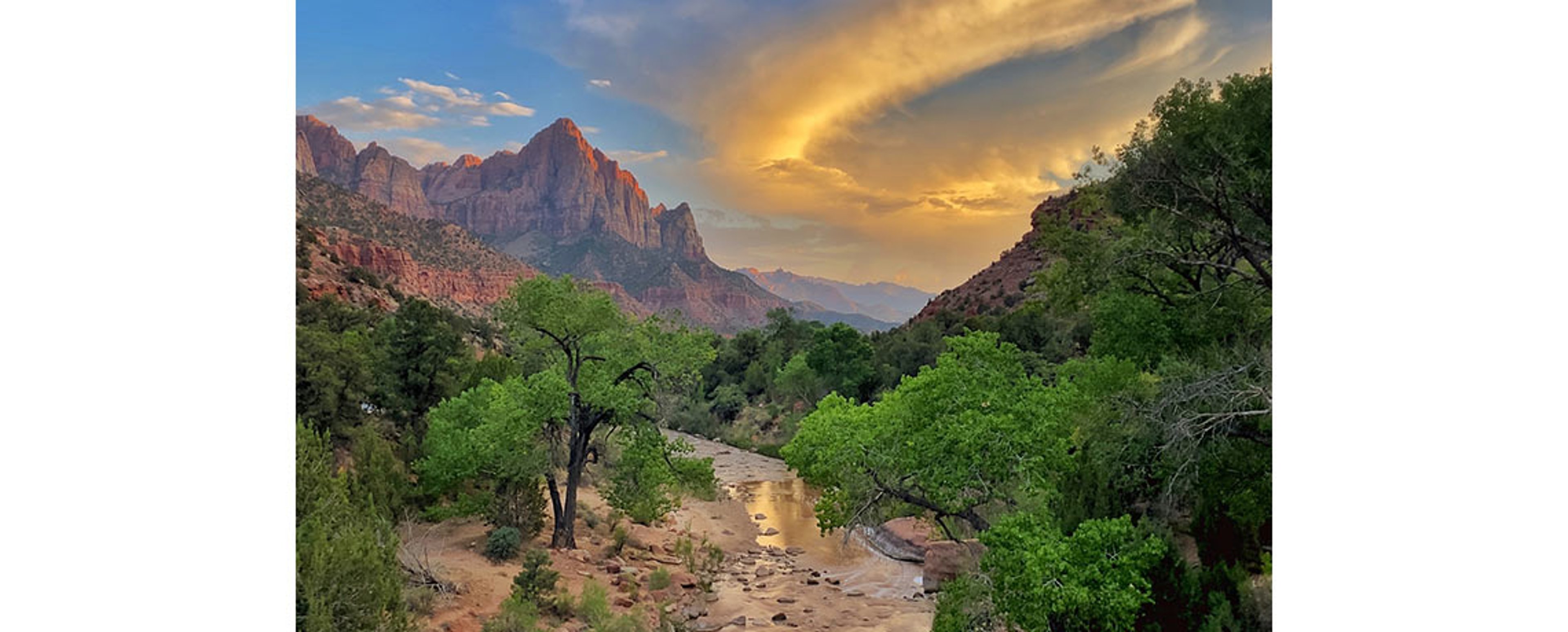 2021 Photo Contest Semi-Finalist Photo