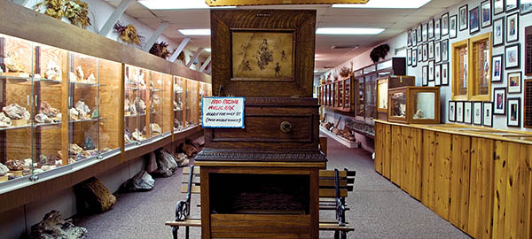 Pioneer Auto Show 1880 Regina Music Box still plays for a nickel Photo credit Travel South Dakota 60