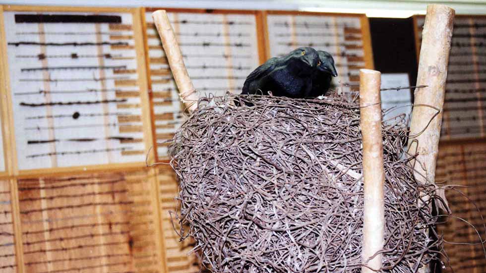 Kansas Barbed Wire Museum_crow nest made of barbed wire_photo by MeLinda Schnyder