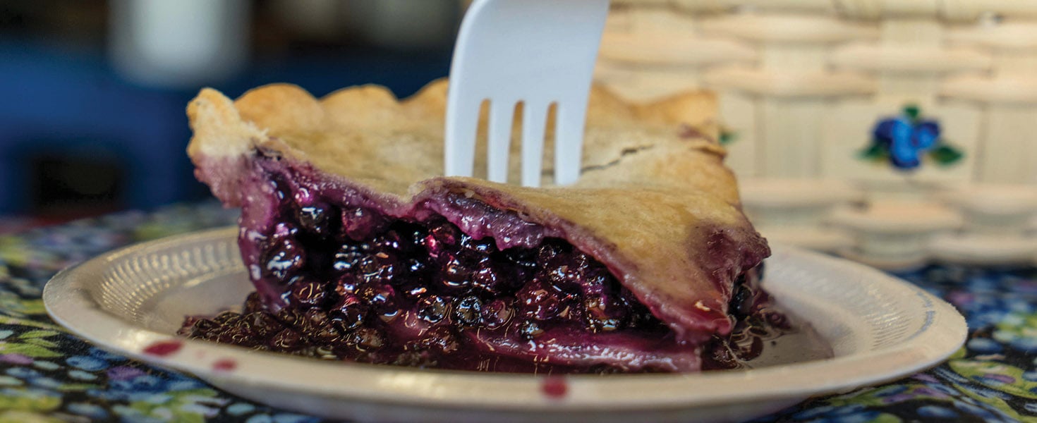 Blueberry Pie