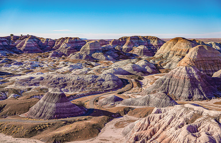 Petrified Forest National Park