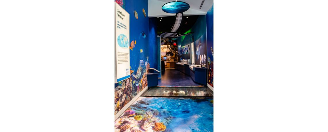 Delaware Museum of Nature and Science