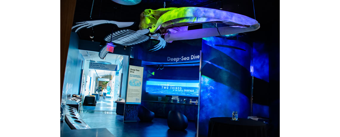 Delaware Museum of Nature and Science