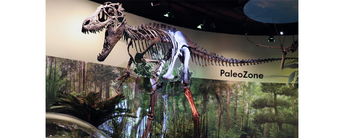 Delaware Museum of Nature and Science