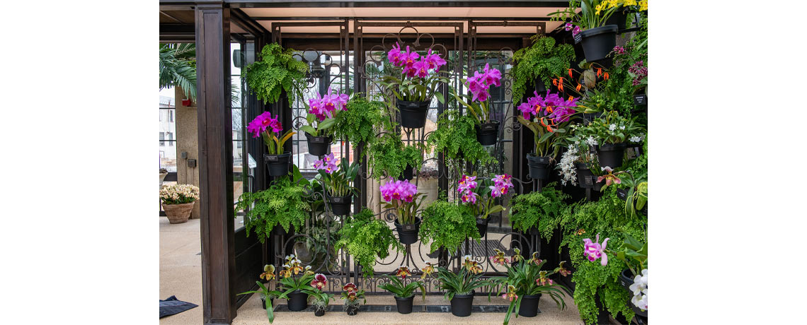 Longwood Gardens