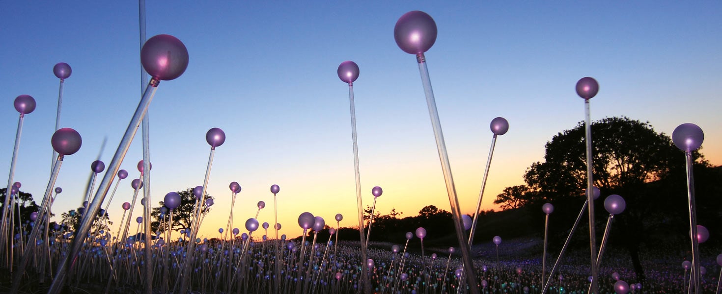 Field of Light, Longwood Gardens in Wilmington, Delaware