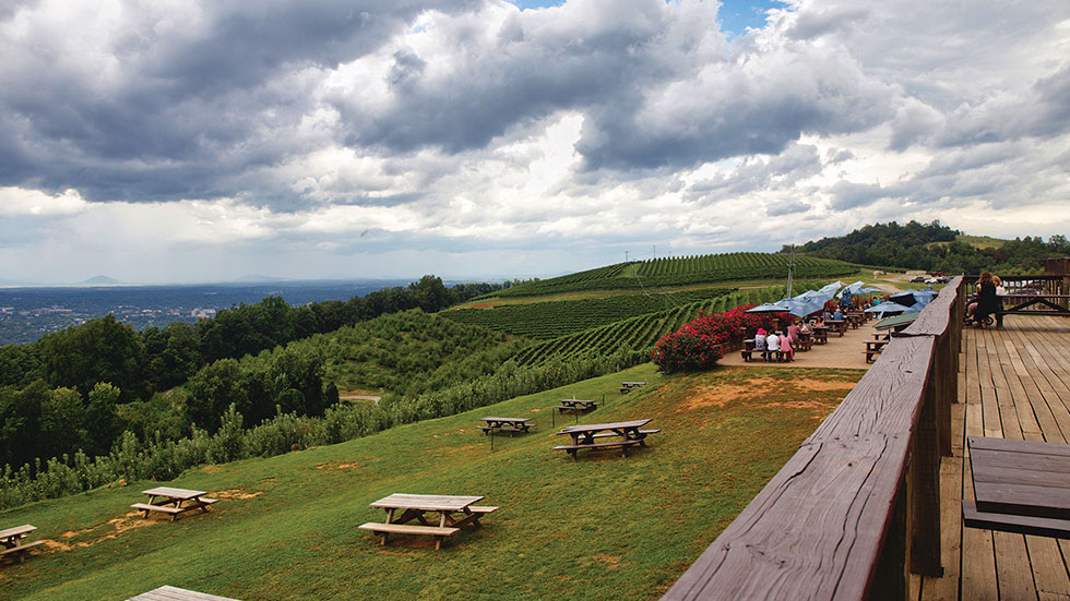 Carter Mountain Orchard Charlottesville3