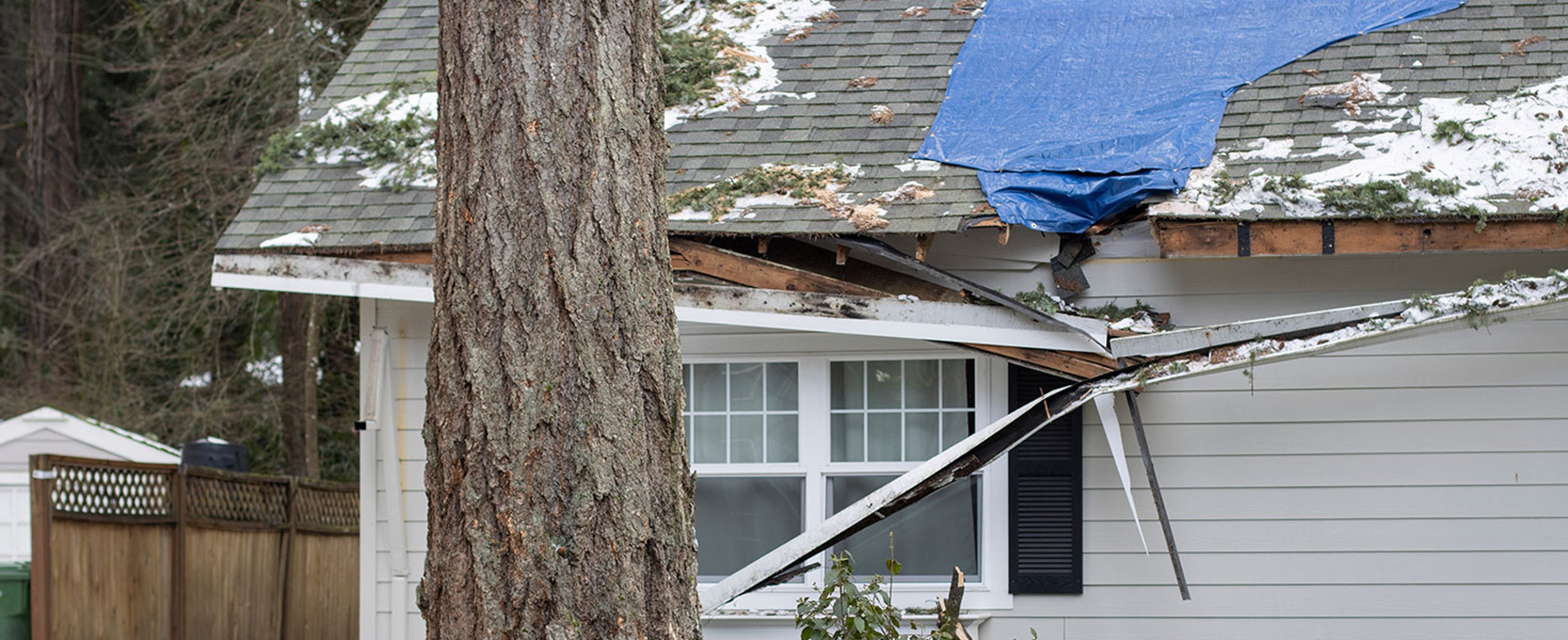 Residential house crushed by fallen trees and tree limbs during severe winter storm with strong winds. Tarp is placed on the damaged rooftop area as a temporary measure before proper roof repairs