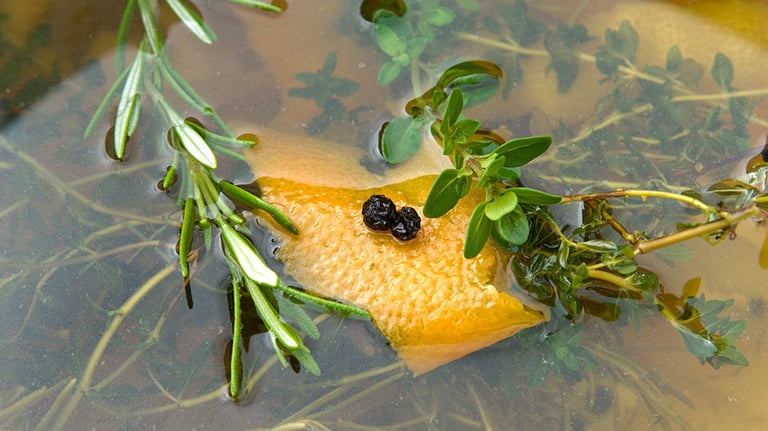 A turkey brine adds moisture and flavor to the finished bird: Salt water seasoned with fresh orange & lemon citrus, rosemary & thyme herbs, and peppercorns. Credit: Funwithfood