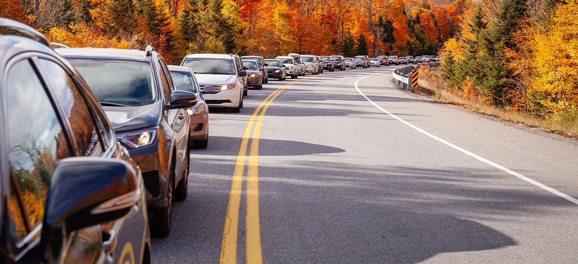 cars in traffic during Fall