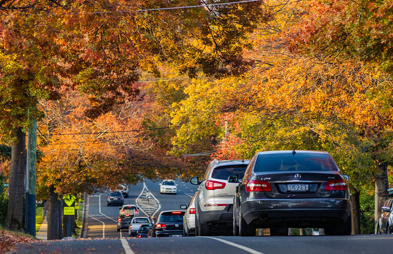 cars on the road during fall