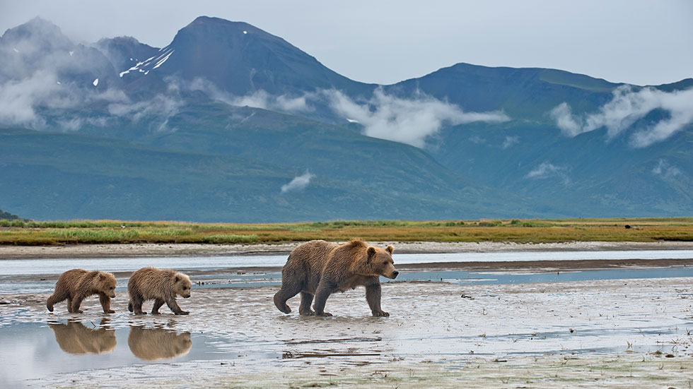 Katmai National Park