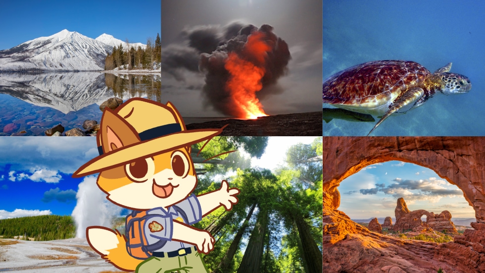 National Parks Collage