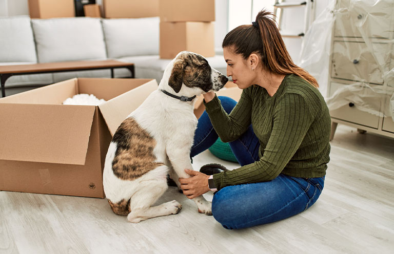woman with dog, moving boxes behind them