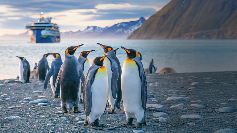 penguins in Antarctica, National Geographic Lindblad Expedition ship in background