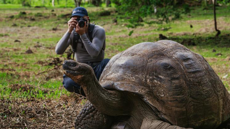 National Geographic Lindblad Expedition photographer and turtle