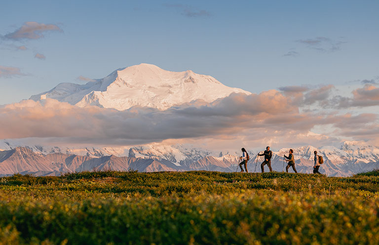 People hiking in Denali National Park