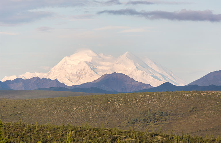 Denali National Park