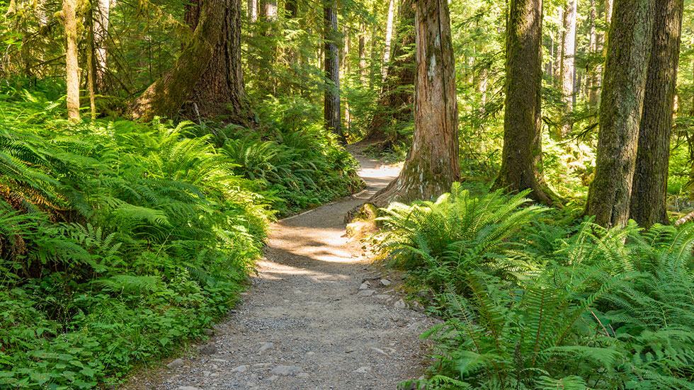 Hiking Trail