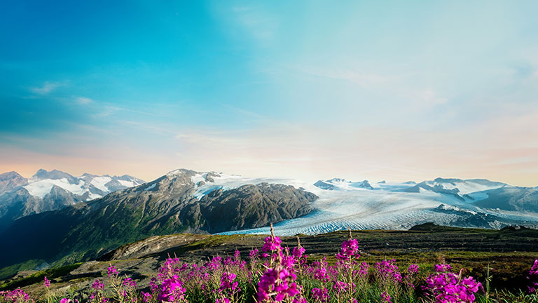 Snow-covered mountains and glaciers rising above the water in Kenai Fjords National Park, Alaska.