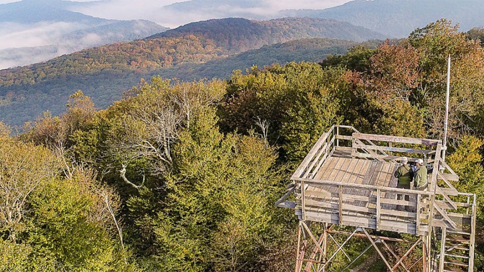 Monongahela National Forest