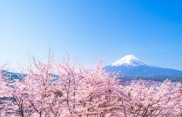 Mt Fuji