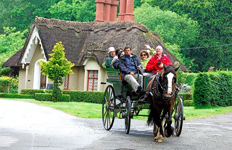 Jaunting car ride with people