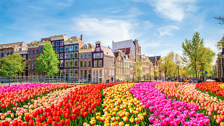 Colorful canal houses and spring tulips in Amsterdam; photo courtesy of Viking