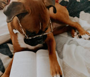 Books are the New Bones!