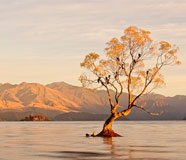 Lake Wanaka New Zealand