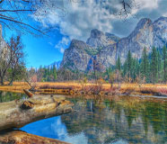 Yosemite Landscape