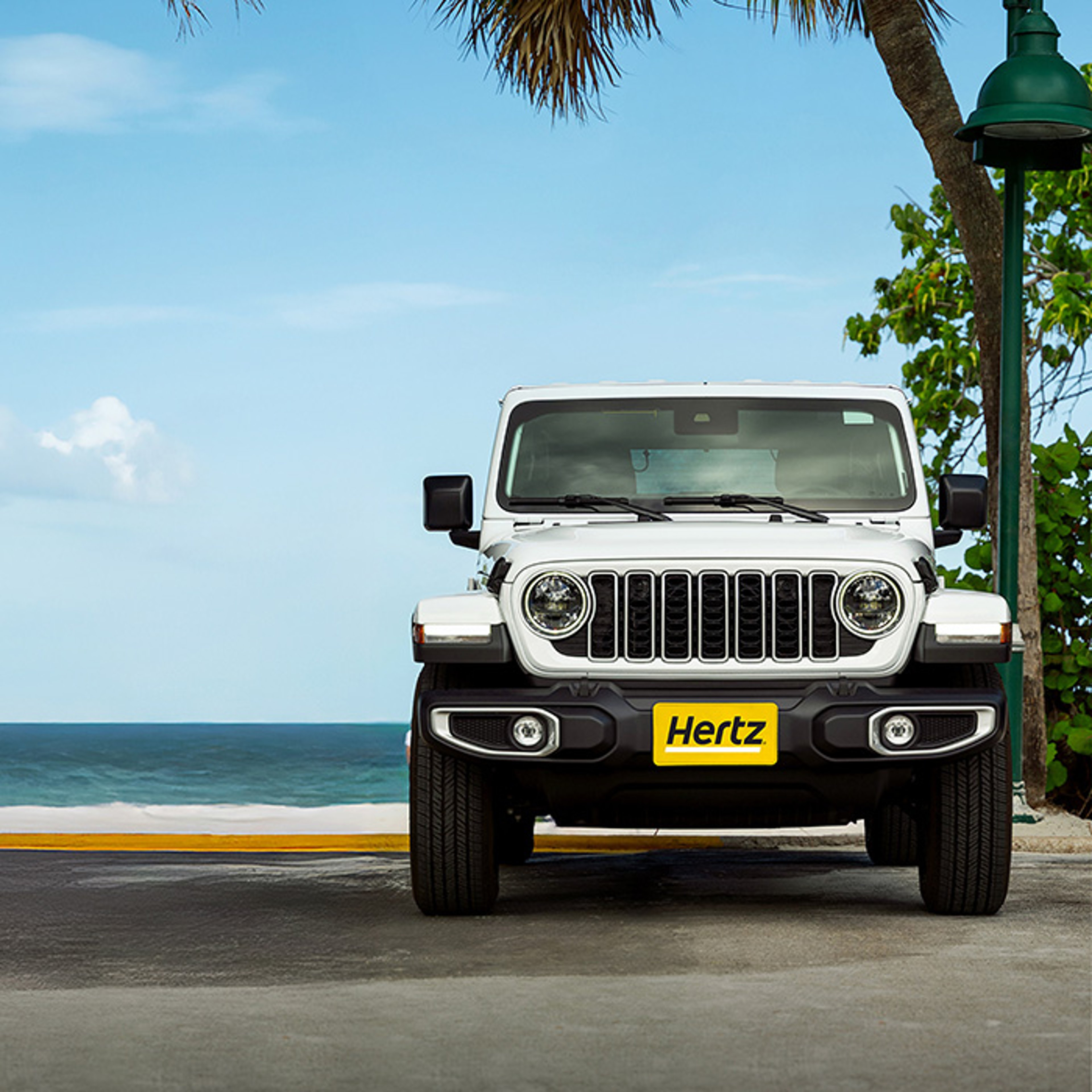 White SUV with yellow Hertz front license plate parked at beach location with ocean and palm tree in background